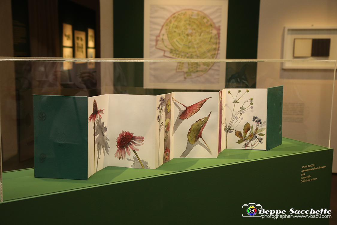 VBS_1206 - Castello di Miradolo - Mostra Oltre il giardino l'Abbecedario di paolo Pejrone.jpg